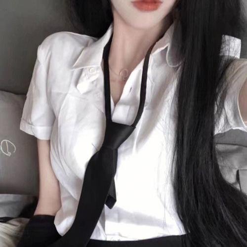 分歧者 封面